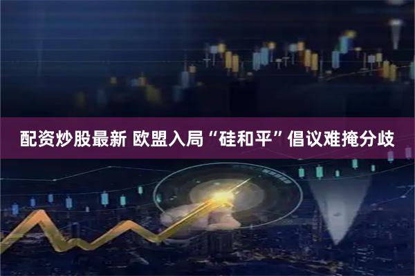 配资炒股最新 欧盟入局“硅和平”倡议难掩分歧